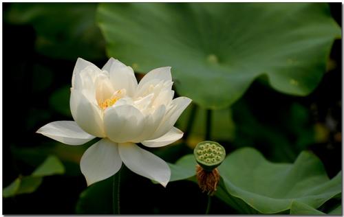 u=638174372,3977453015&fm=27&gp=0 u=638174372,3977453015&fm=27&gp=0