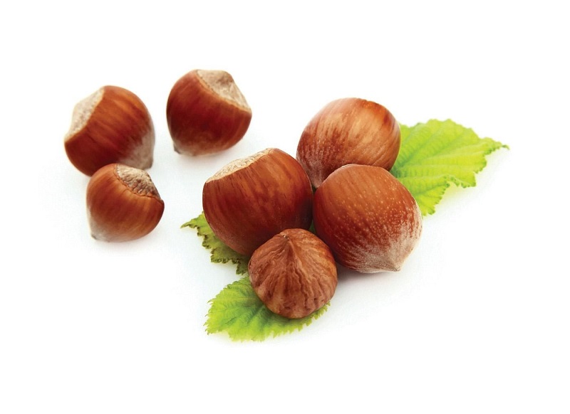 1434049_1321422184N55F